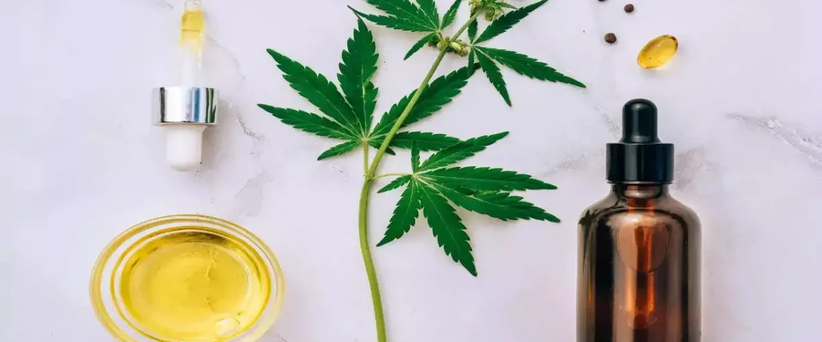 CBD Oil and Their Applications: How to Choose the Right Option for Your Needs