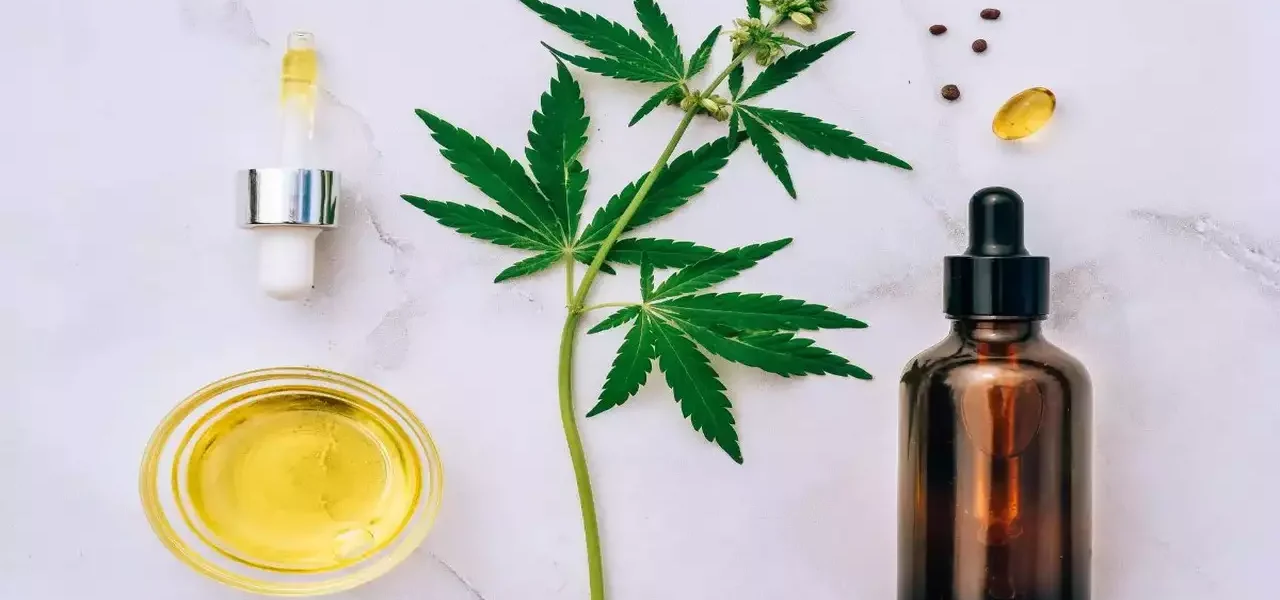 CBD Oil and Their Applications: How to Choose the Right Option for Your Needs