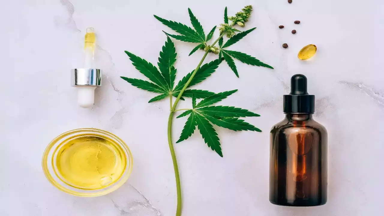 CBD Oil and Their Applications: How to Choose the Right Option for Your Needs